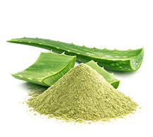 Aloe Vera extract