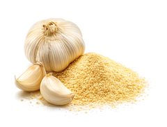 Garlic extract