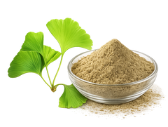 Ginkgo Biloba extract