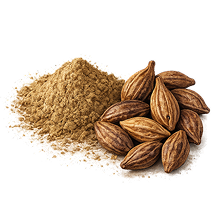 Haritaki extract