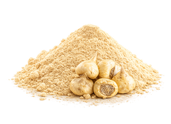Maca Root extract