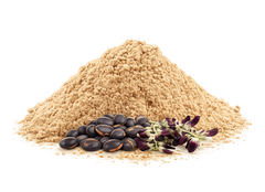 Mucuna pruriens extract
