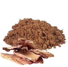 Ashoka extract