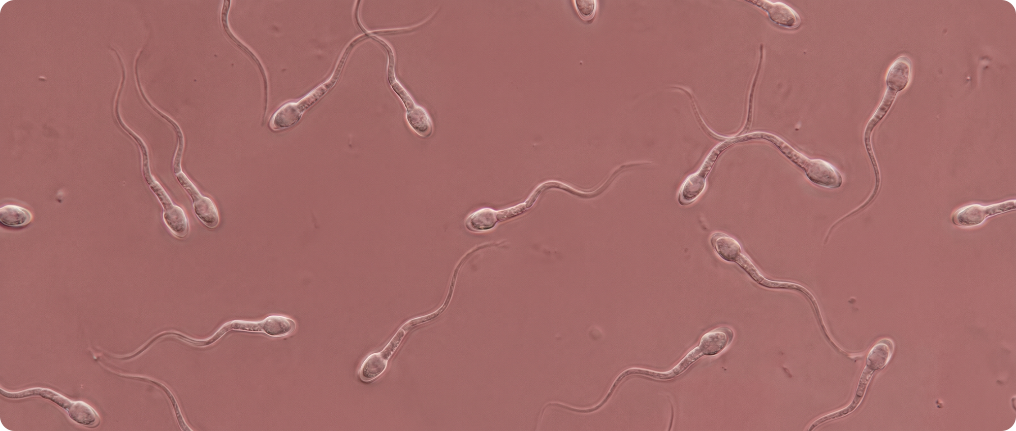 Support your reproductive health.