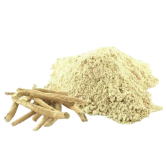 Shatavari extract