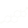 Support Testosterone